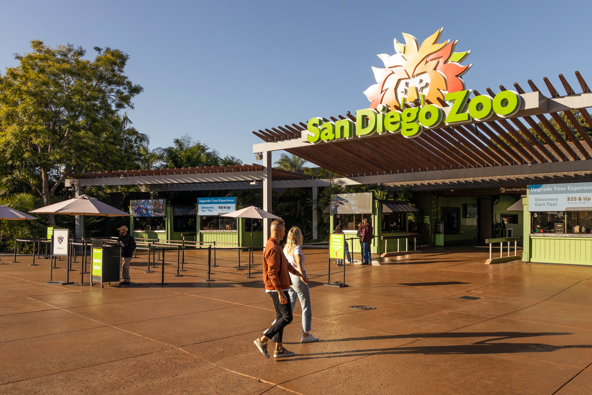 Explore San Diego Zoo and over 55 attractions with the All-Inclusive Pass. Experience wildlife outdoor adventures and iconic landmarks while maximizing your time in this beautiful city.